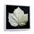 Cadre flottant blanc