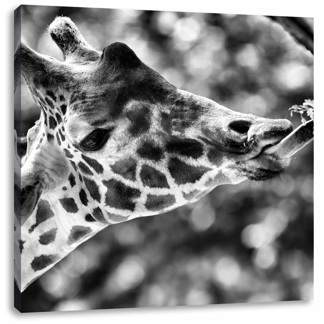 Leinwandbild Giraffe Gesicht