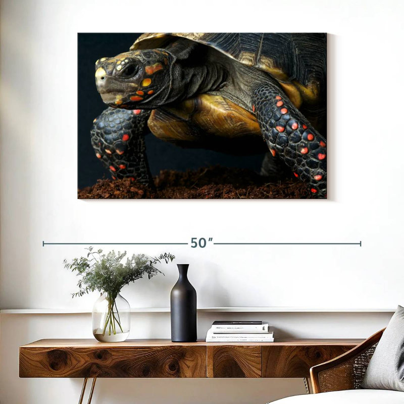 Red Footed Tortoise Species, 26" H x 39" W