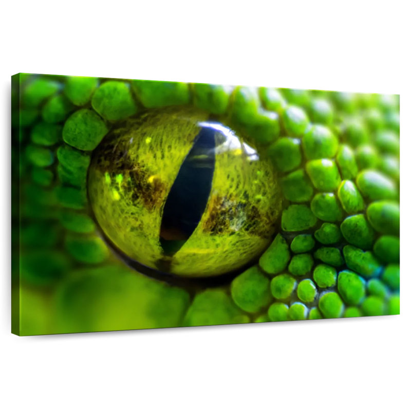 Brampt Green Python Eye, 8" H x 12" W