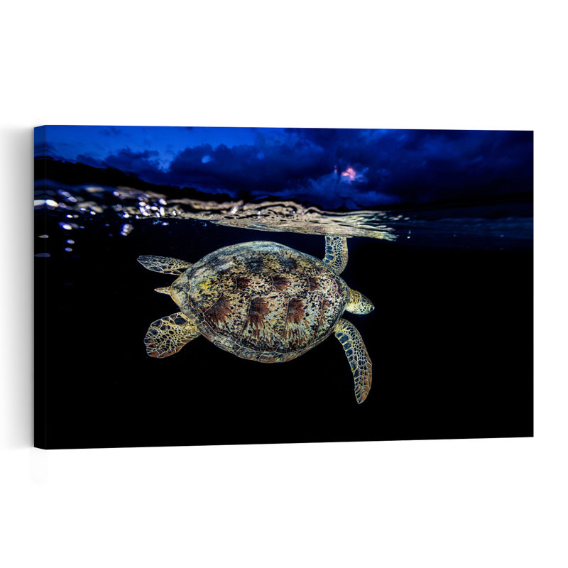 Sea Turtle Night Swim Peaceful Serene Tranquil Turtle Nature Ocean Wall Art Print 1 Piece Wrapped Canvas Wall Art