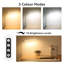 Brade USB Desk Lamp