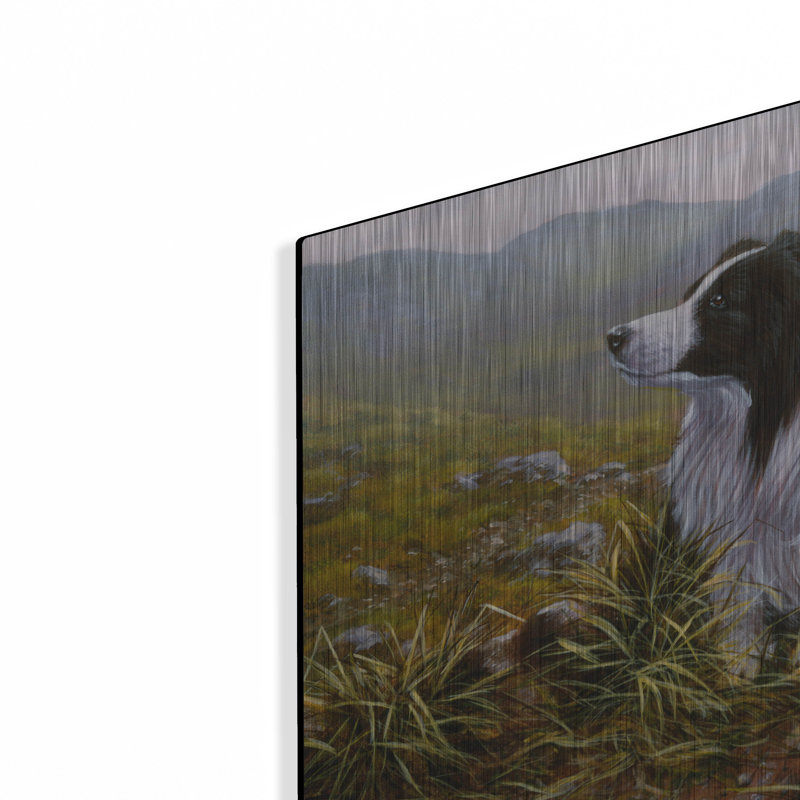 Union Rustic 'Thoughtful Border Collie' by John Silver, Metal Wall Art 12