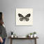 « Butterfly VIII BW crop » par Debra Van Swearingen-impression-807053107-807053106