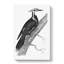 Pileated Woodpecker in Black & White by George Shaw - Wrapped Canvas Drawing - Wrapped Canvas-55324770