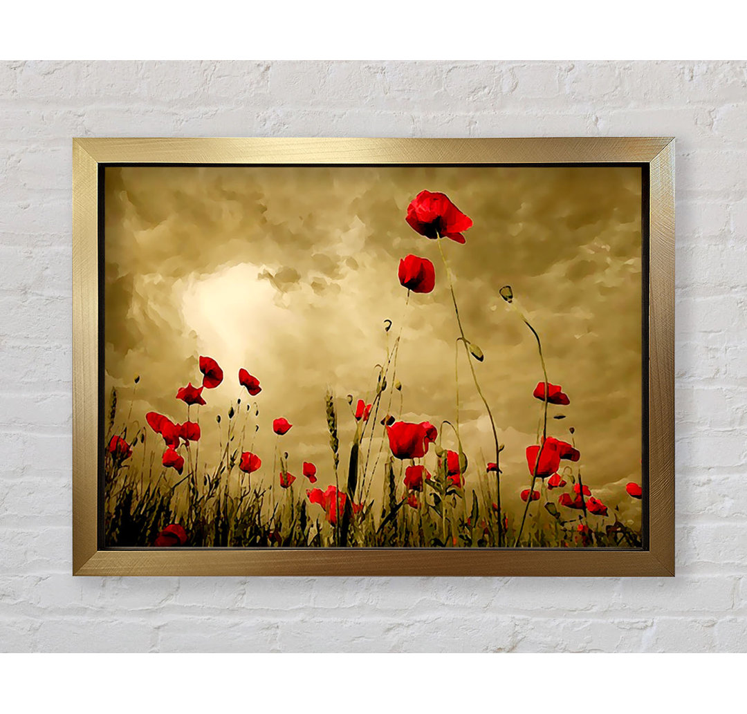 Poster Roter Mohn Himmel Blumen