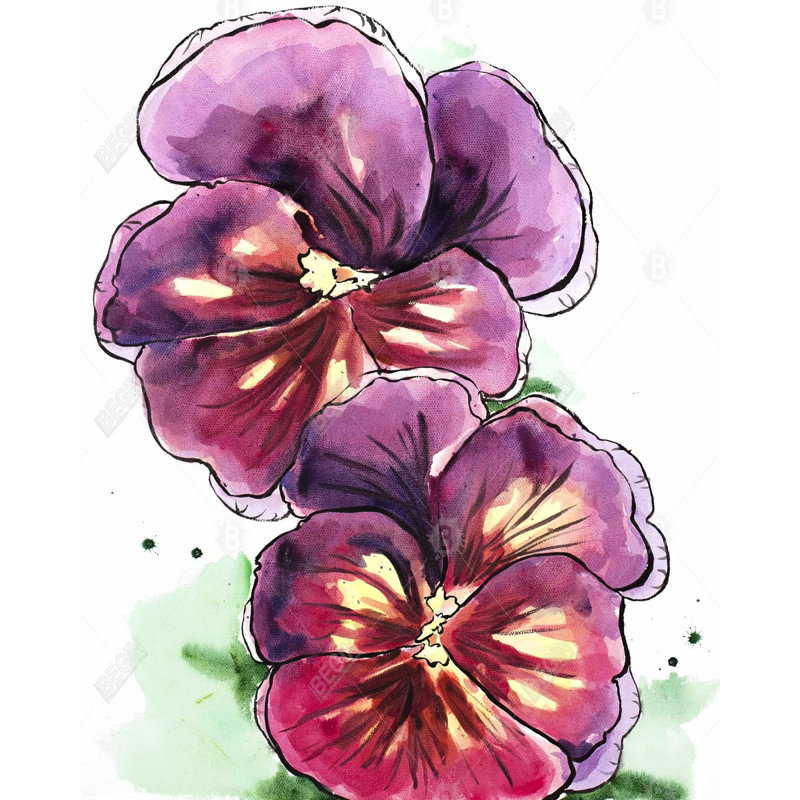 Deux orchidées en fleurs - art mural floral, H 61,25 po x l 49,25 po