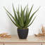 Agave artificielle en pot de fleurs 19"