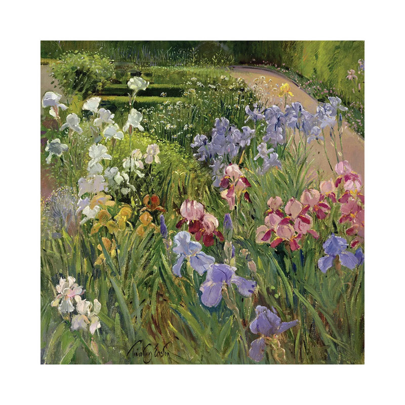 Iris at Bedfield - reproduction d'art sur toile - toile, Toile tendue, Ne s’applique pas, H 12 po x l 12 po