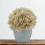 Arrangement d'hortensias écru en pot synthétique-1553681566-1488260804