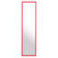 Overdoor Full Length Mirror-20587882