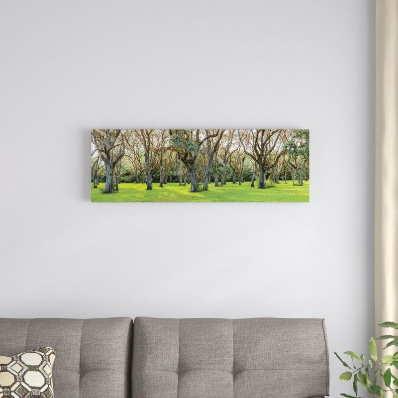 « tree », reproduction de photo sur toile, H 24 po x l 72 po x P 1,5 po, Toile tendue