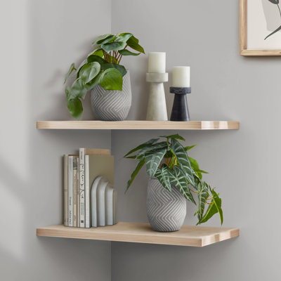 8 Inch Artificial Alocasia Plant Set of 2, Faux Potted Alocasia with White Cement Pots, Adjustable Lifelike Green Leaves, Indoor Tabletop Mini Fake Greenery Decor