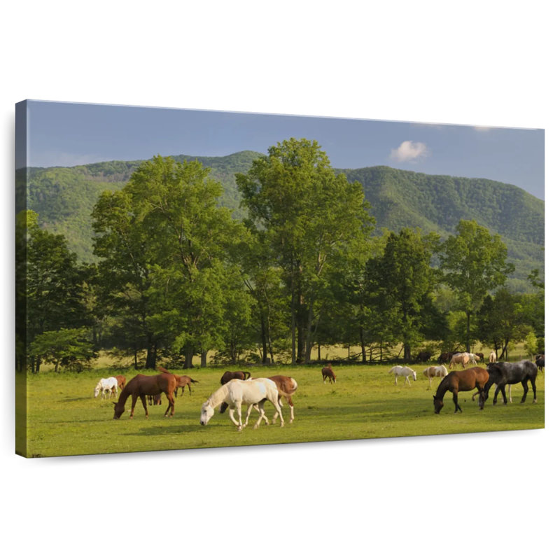 Brampt Cades Cove Horses, 8" H x 12" W
