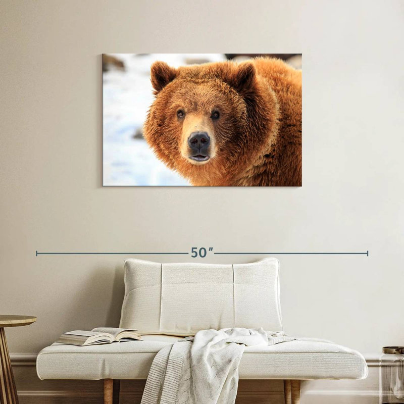 Grizzly Bear Stare, 24" H x 36" W