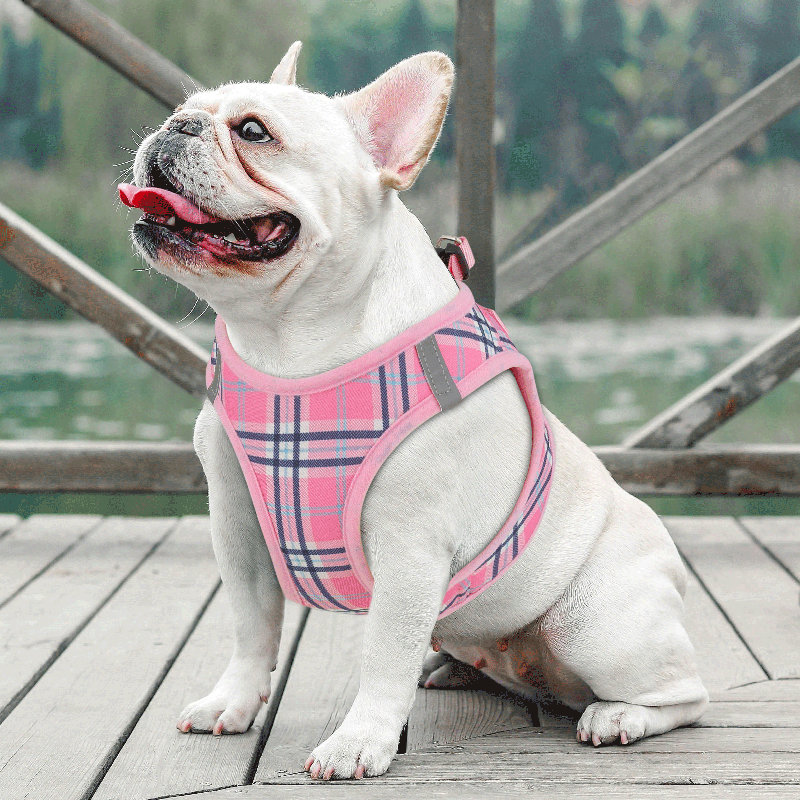 Harnais réglable pour chien avec laisse Gesemyer, Rose