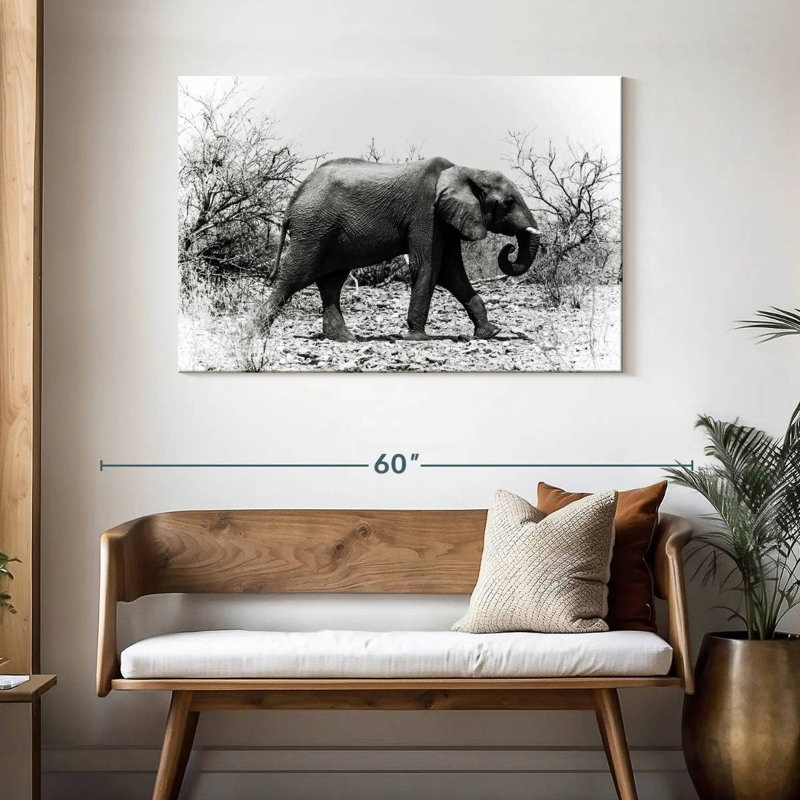 Éléphant d'Afrique Brampt au Botswana, H 30 po x l 45 po