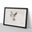 Sparrow Bird by Kono Baireir - Picture Frame Graphic Art Print-55726052-55726051