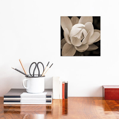 Sepia Lily I by Glenn Taylor - Wrapped Canvas Print