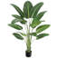 7.09cm Plant