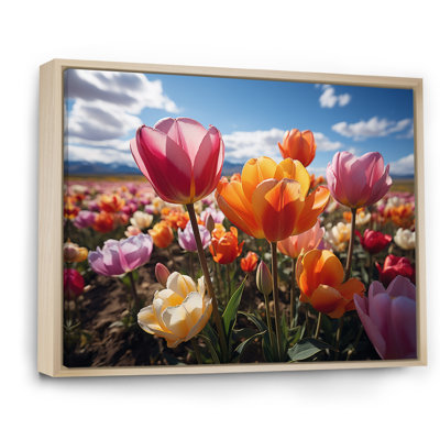 Tulipes «Fields of Color IV», reproduction sur toile