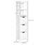 Freestanding Bathroom Cabinet