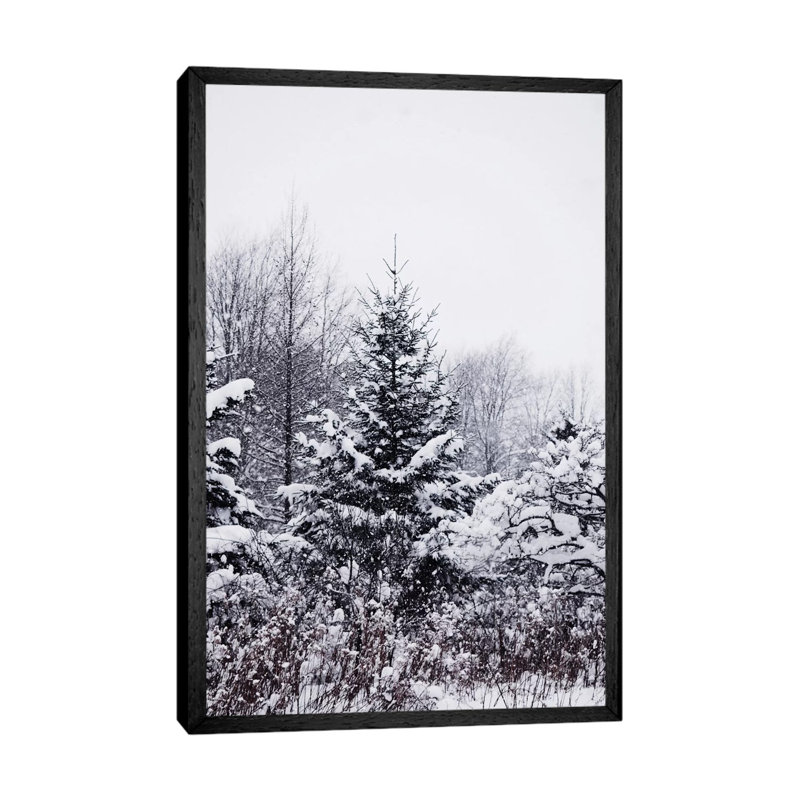 Winter Pines by Chelsea Victoria - Print on Canvas, 101.6 cm H x 66.04 cm W, Black Floater Framed