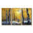 Gold Floater Framed Canvas