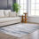 Katriena Modern Design Gray Area Rug