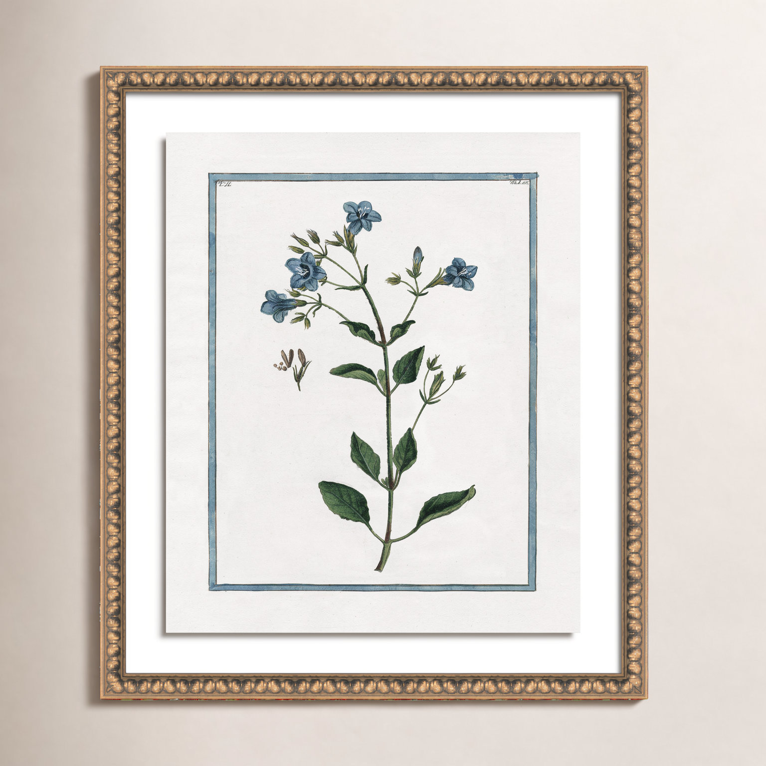 Colombe "Shabby Elegance Botanical II" Print, Gold Bead Framed, 22.5" W x 26.5" H