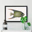 Angel Fish by Mark Catesby - Single Picture Frame Painting-55545177-55545180