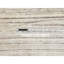 Tapis décoratif de laine ronde beige noué à la main de conception unique 8 pi Belanna