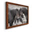 Chevaux sauvages - Photographie de cadre photo sur toile-265811771-265811774