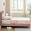 Standard Slat-1686090567