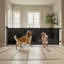 Pet Gate Accessory With Door
