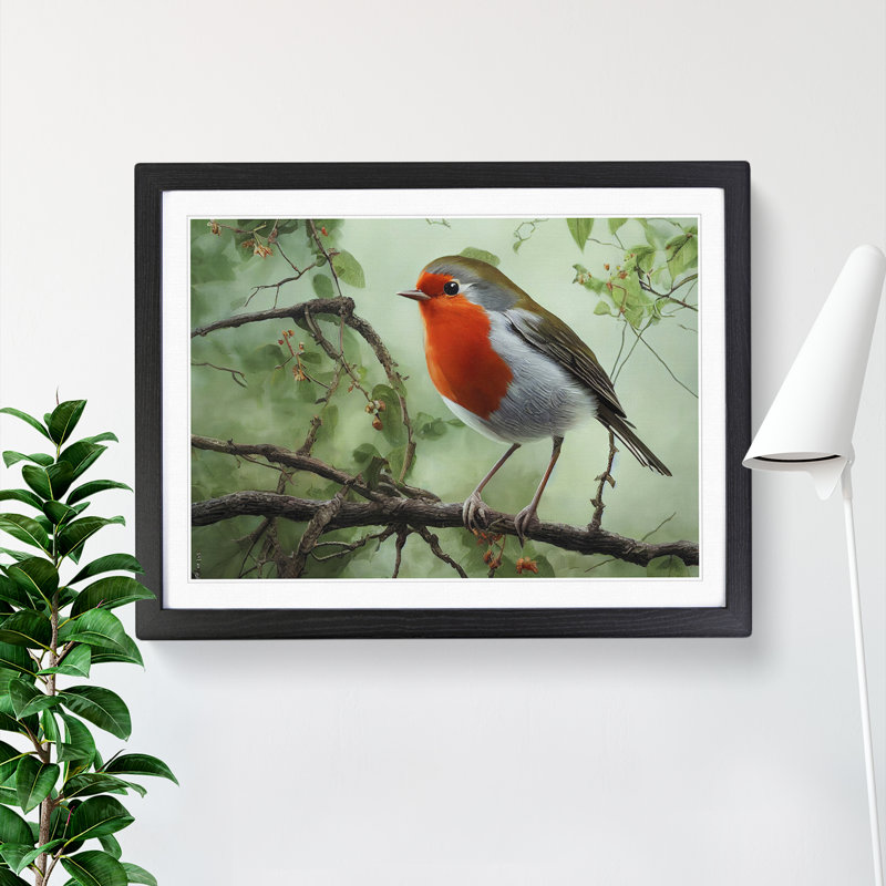 XH1022-9697X Vivacious Robin Bird - Single Picture Frame Print, Black, 46cm H x 64cm W