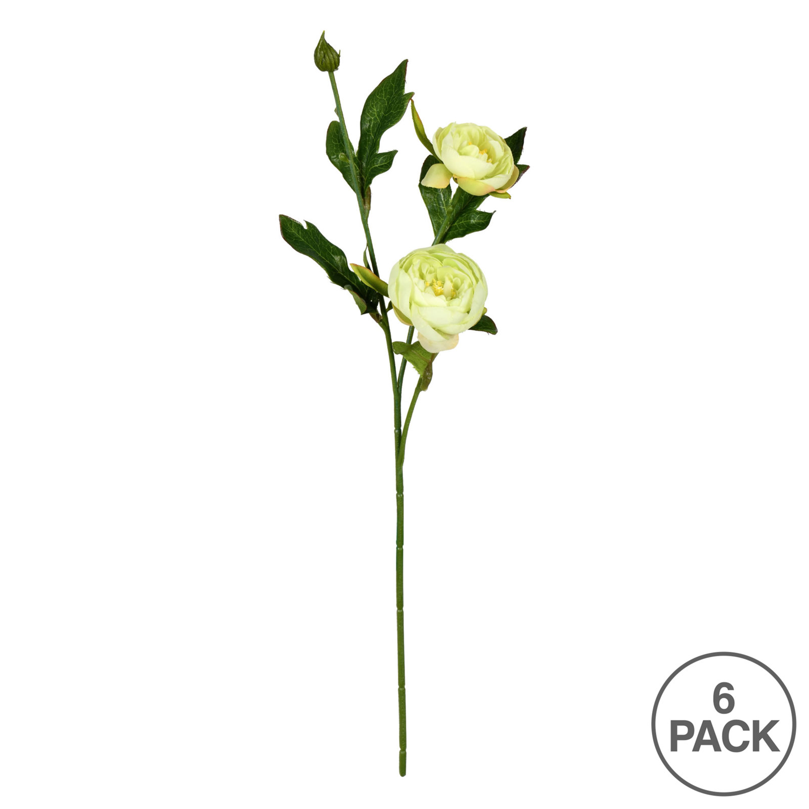 Peony Floral Stems, Lime