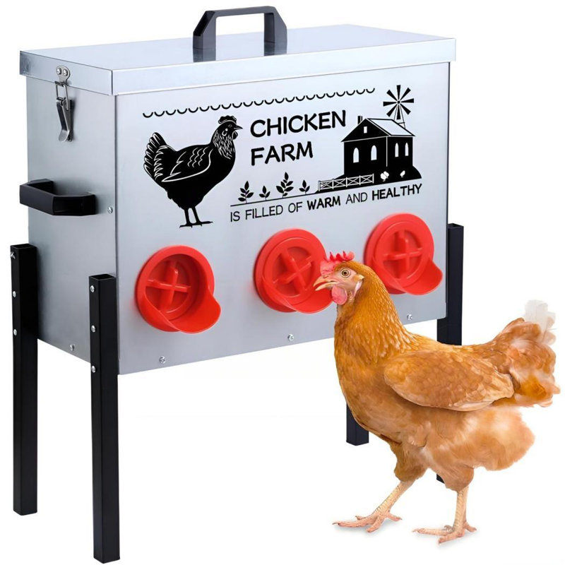 Automatic Chicken Feeder Box