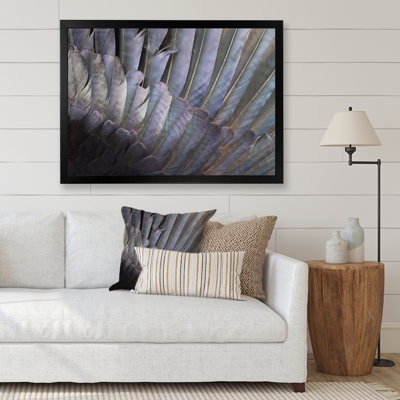 Plumes noires et blanches - Photographie sur toile