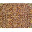 Handmade Wool Area Rug