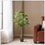 Macrocarpa artificiel Pachira-1573203037
