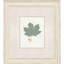 Leaf Adorned II Set by Giclee Studio