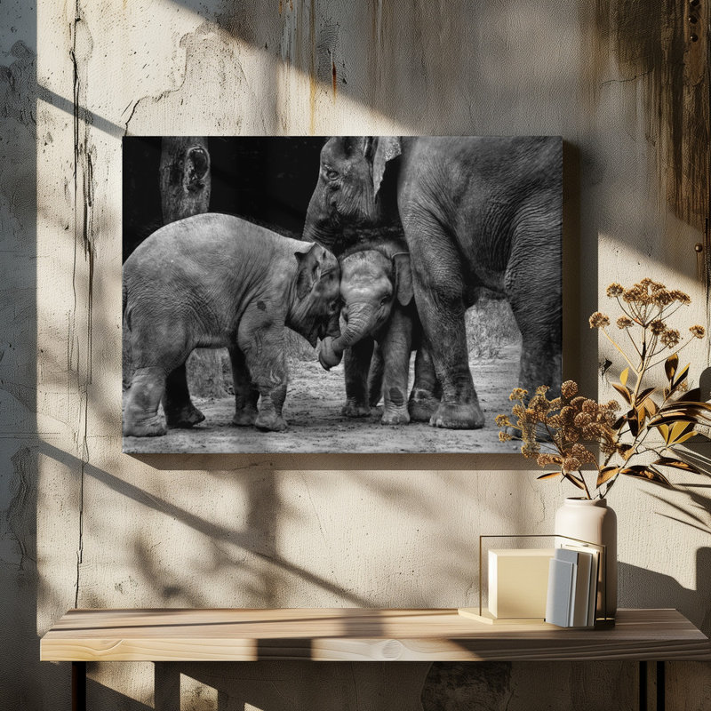 Wrapped Canvas Print, 121.92 cm H x 81.28 cm W