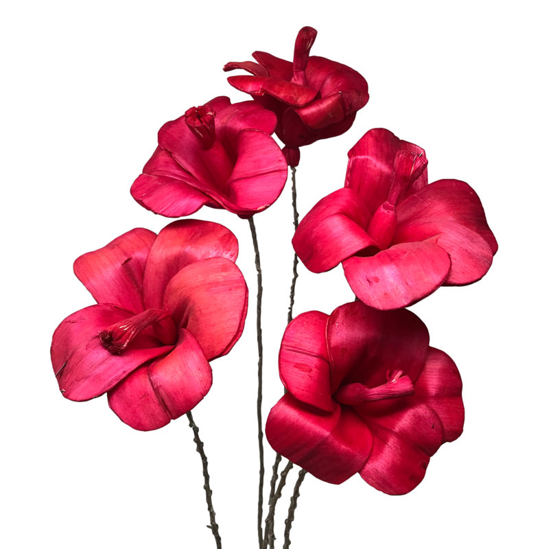 Tige d'hibiscus Esquina, Rose magenta