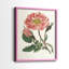 Impression florale rose de qualité supérieure - prête à accrocher - aucun clou requis - aucun clou requis-1933892750-1933892751