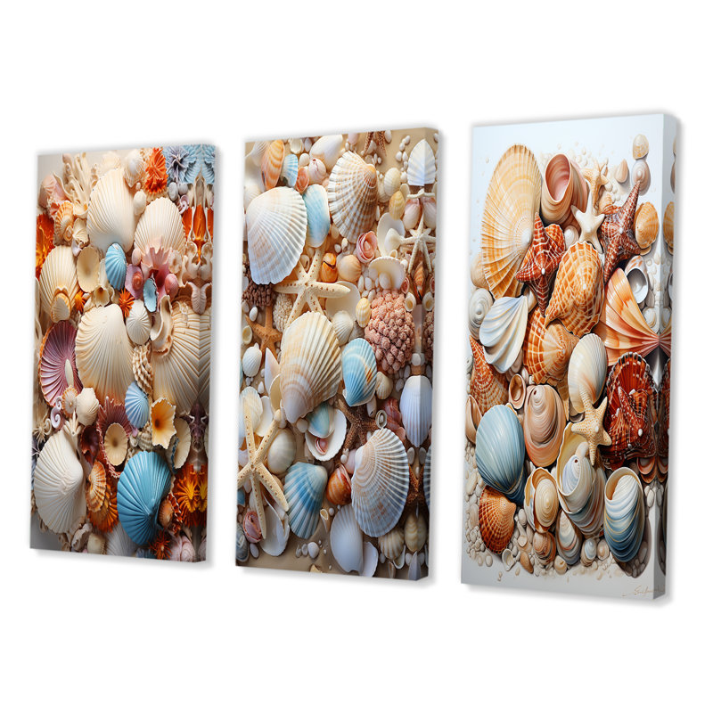 «Beach Photo Seashell Collage I», 3 pièces sur toile, H 32 po x l 48 po, Toile tendue