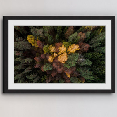 " Luscious Flora " by Karolis Janulis