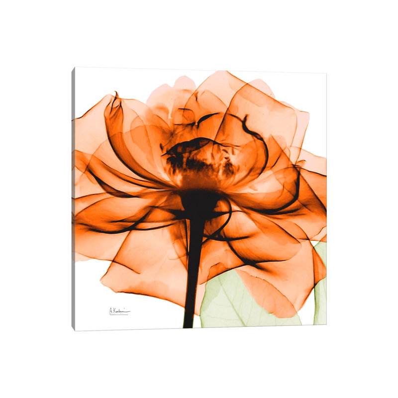 Orange Rose by Albert Koetsier - Wrapped Canvas Gallery-Wrapped Canvas Giclée, 31cm H x 31cm W