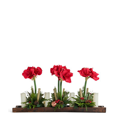RED AMARYLLIS IN WOOD TRAY