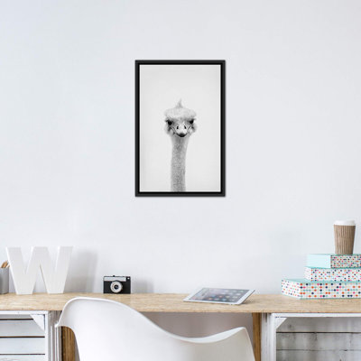 " Ostrich " by Sisi & Seb